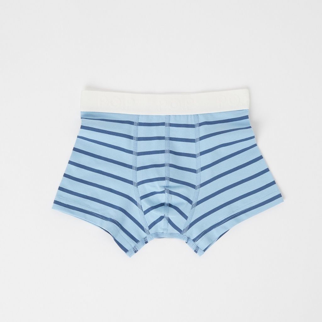 BOX STRIPED BOXER SHORTS